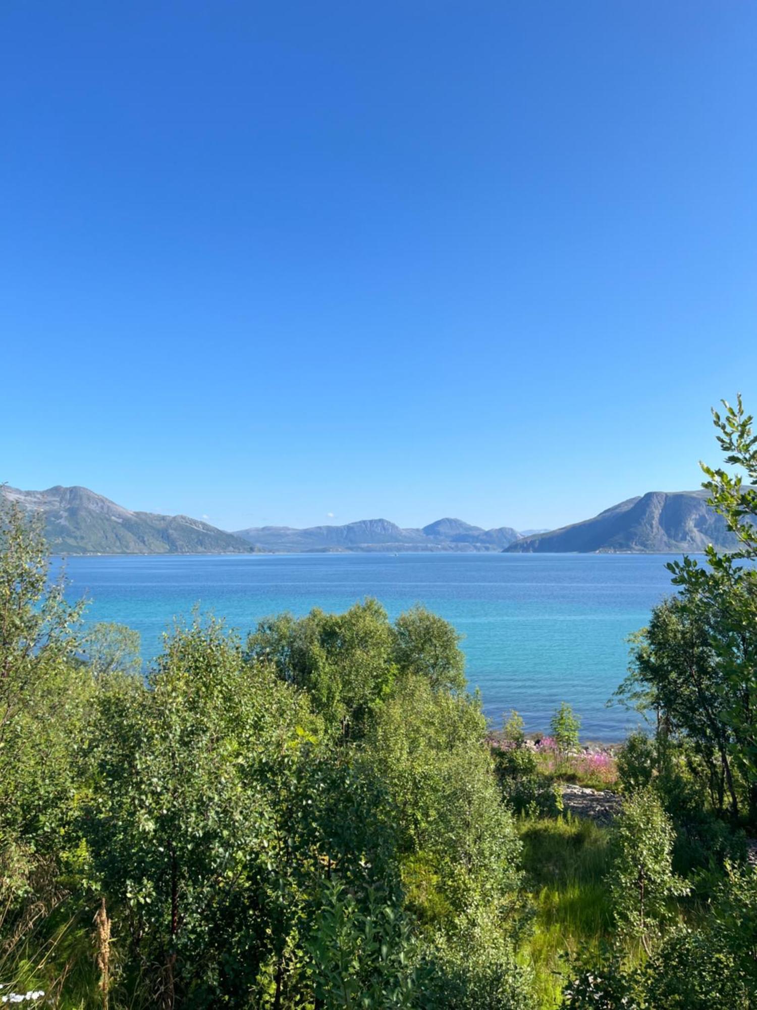 Fantastic View, Quiet And Relaxing By The Sea Βίλα Kvaloya Εξωτερικό φωτογραφία
